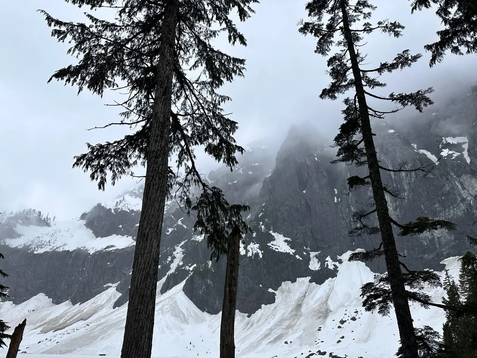 A steep alpine cirque framed by tall trees and lingering snow
