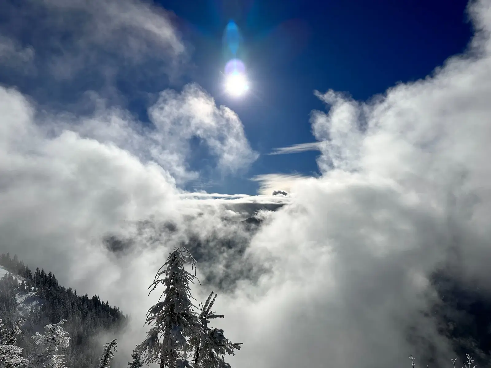Sunlight breaking through clouds over a snow-covered mountain forest
