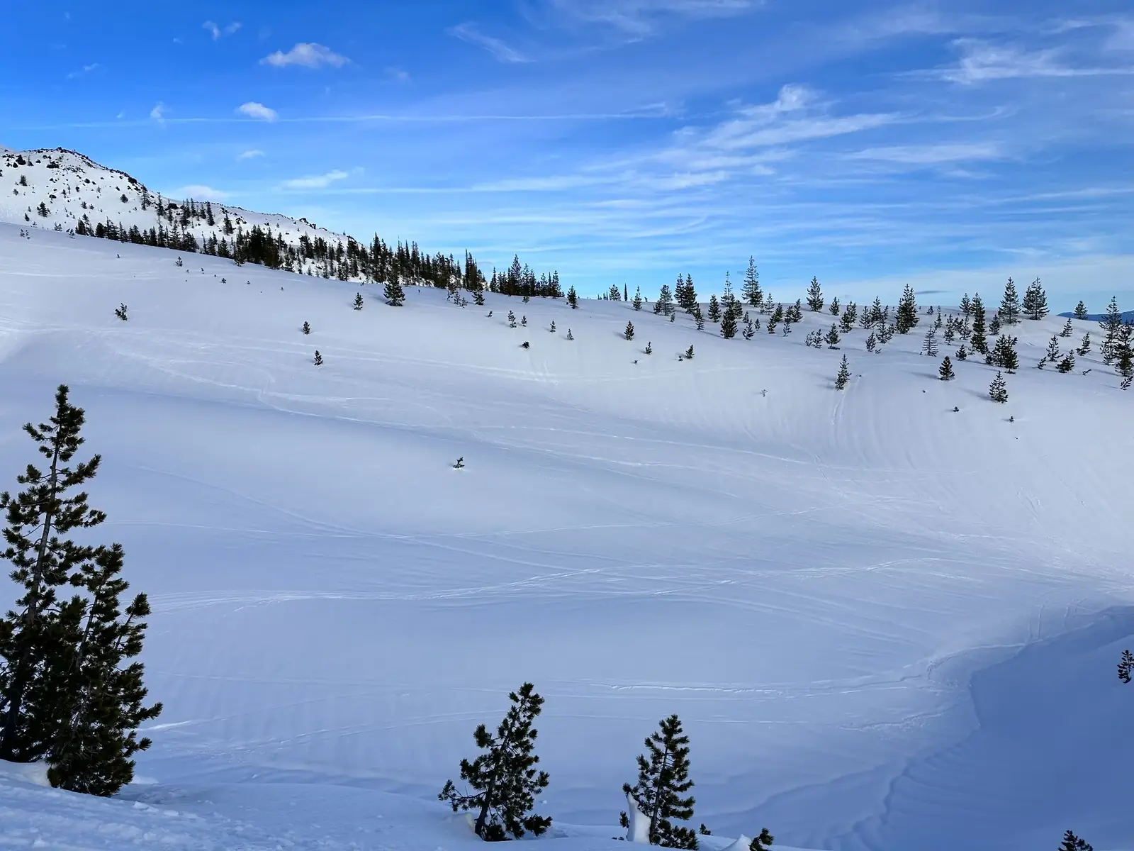 An open alpine snowfield beneath a clear blue sky