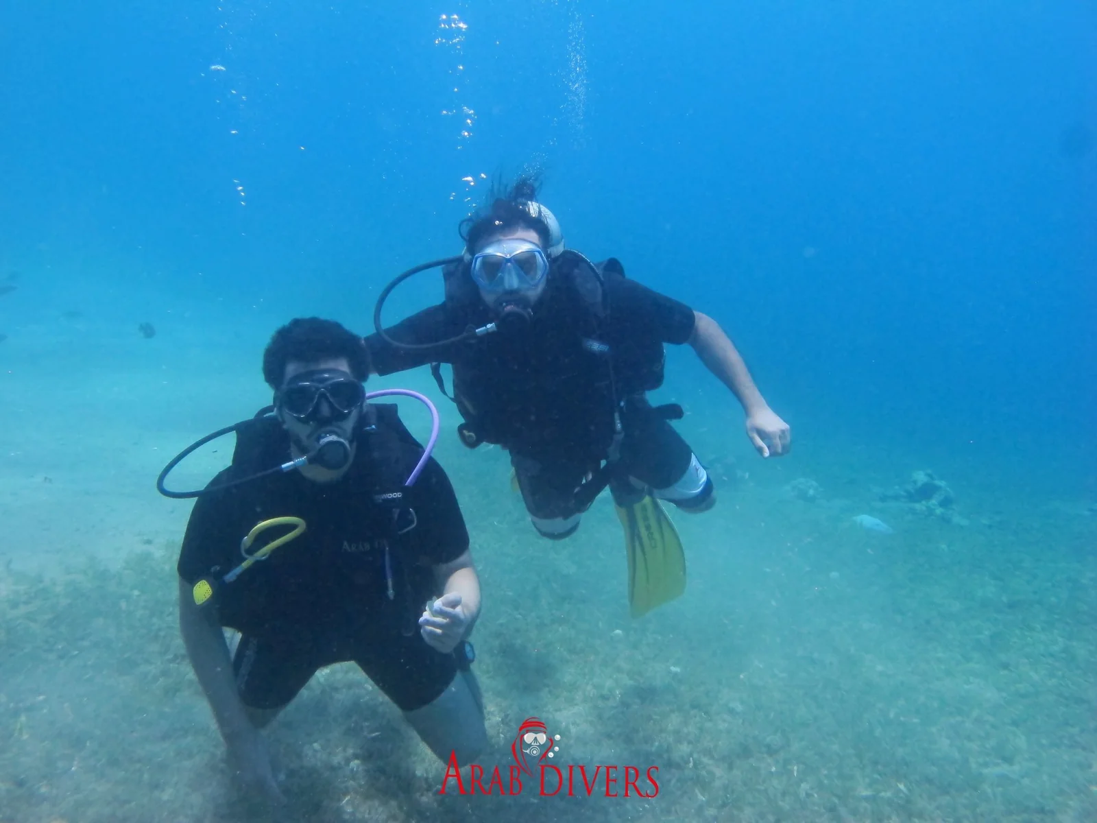 Two scuba divers swimming together underwater in the Red Sea